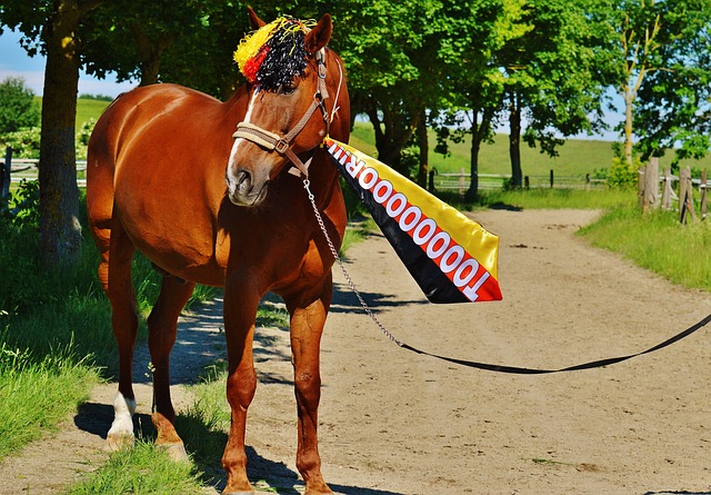 员因场上争 员因场上争