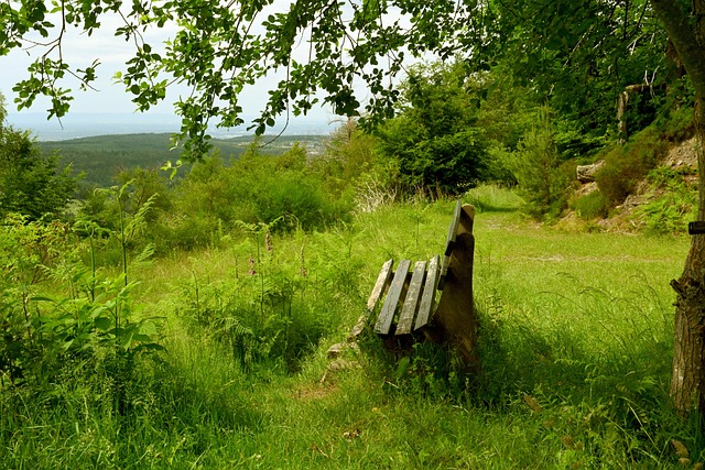 激烈博弈 激烈博弈