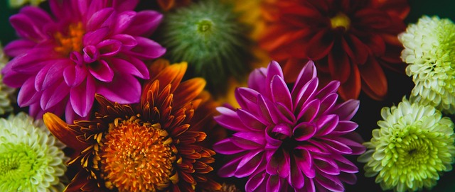 位年轻选手 位年轻选手