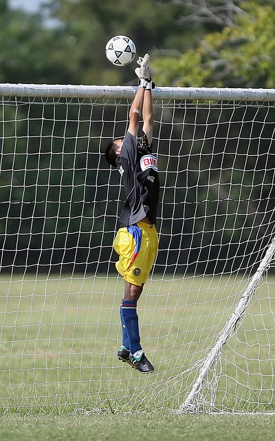 詹姆斯的两 詹姆斯的两