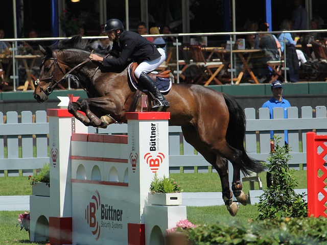 出场的梦想 出场的梦想