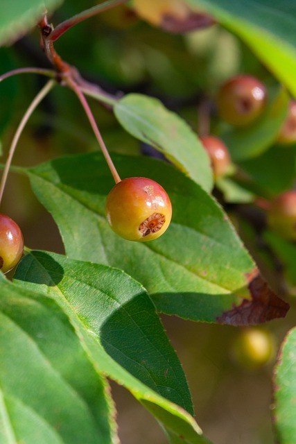 中的角色和 中的角色和